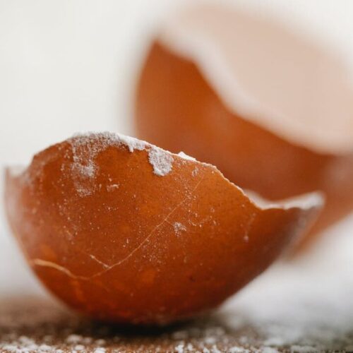 egg shell crusted in salt